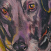 Tattoos - Dog - 29775